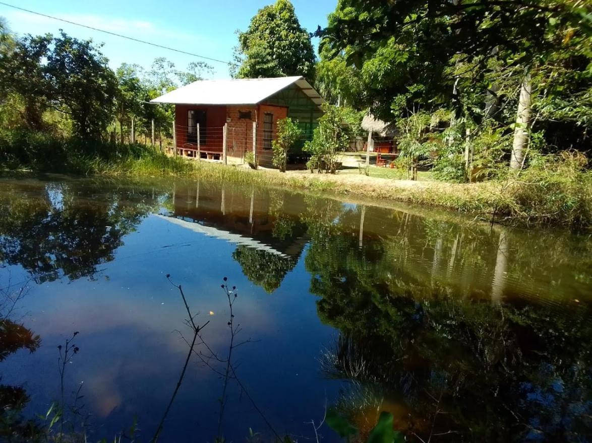 Albertico Jungle House Guest House Pucallpa Exterior foto